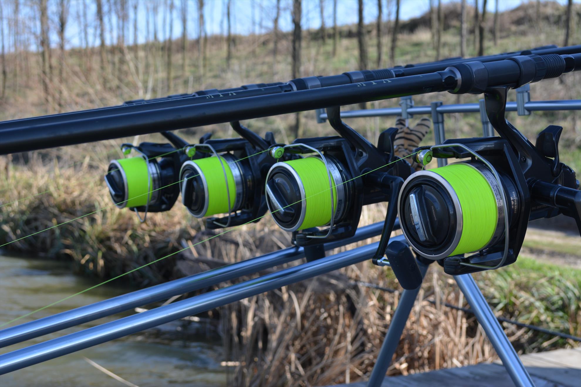 Magura 9 - 16.03.2014 - dsc0101.JPG